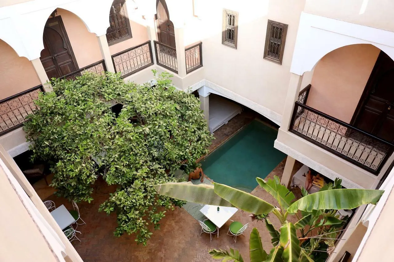 Riad L'Oiseau Du Paradis Marrakesh